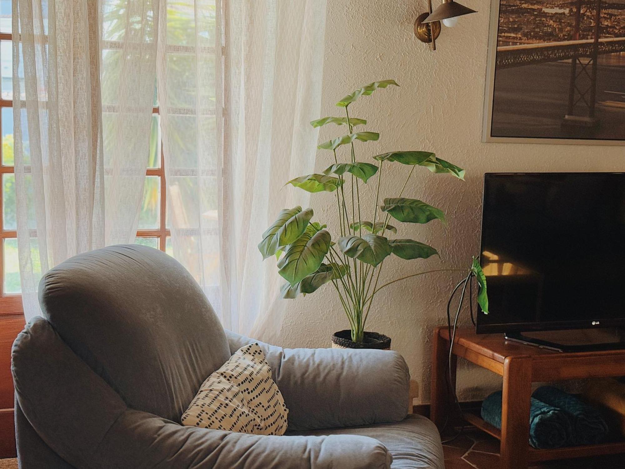 Coastal Garden Paradise Retreat- 6 Min From The Beach Charneca  Esterno foto